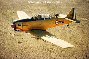 188- ARMEE DE L'AIR EN ALGERIE 1945-1962-36 (33)